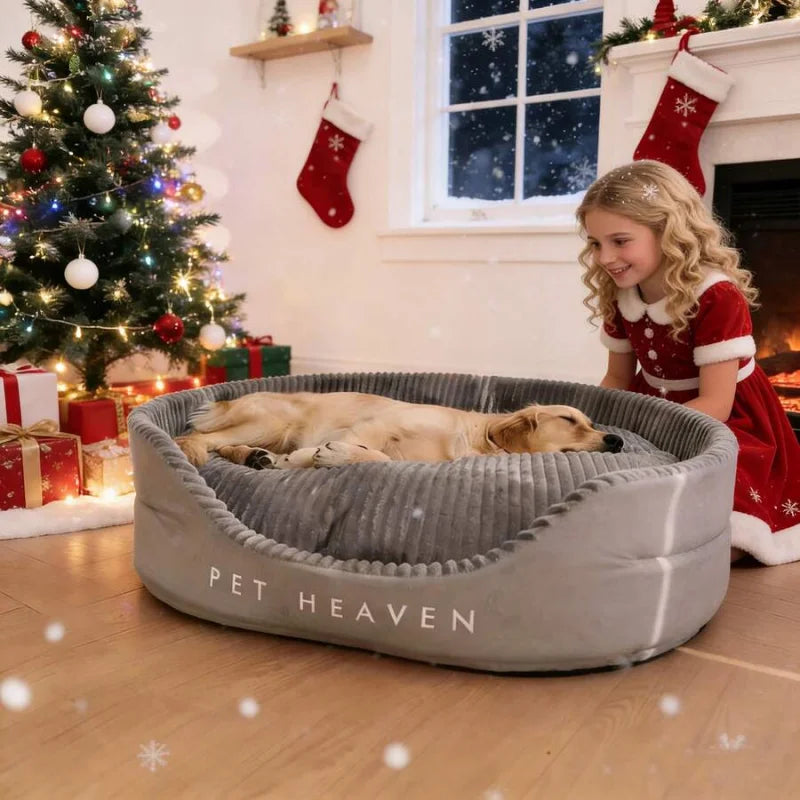 Luxuriously Soft Dog And Cat Bed With Premium Comfort