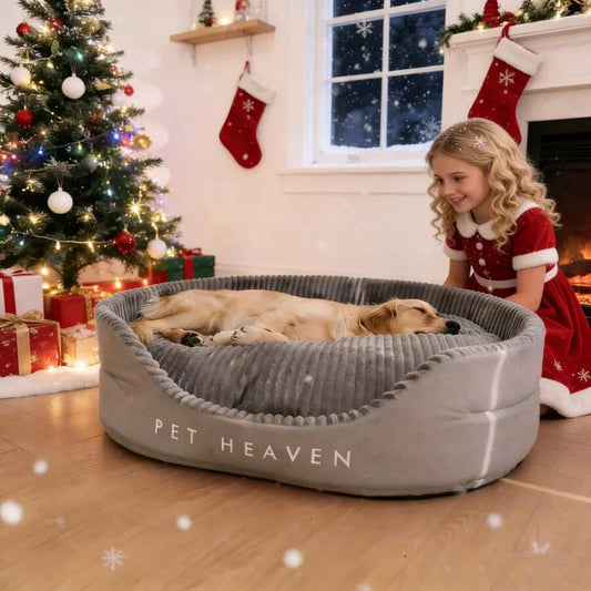 Luxuriously Soft Dog And Cat Bed With Premium Comfort