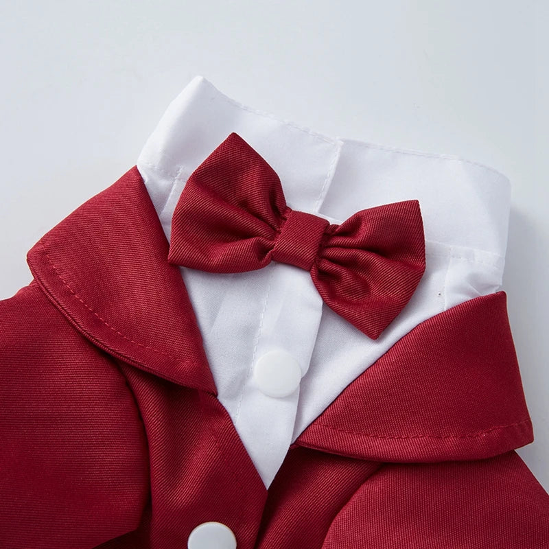 Dog Tuxedo Formal Suit for Small and Medium Dogs