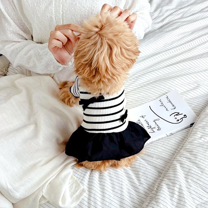 Doggyzstyle Luxury Bow Dress For Dogs Striped Print