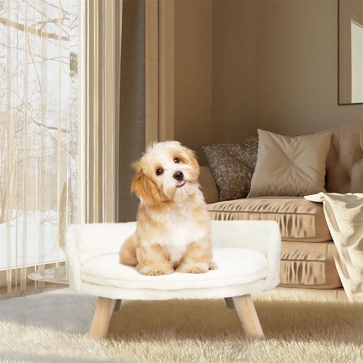 BINGOPAWCN Pet Sofa Bed Raised Cat Chair and Dog Couch