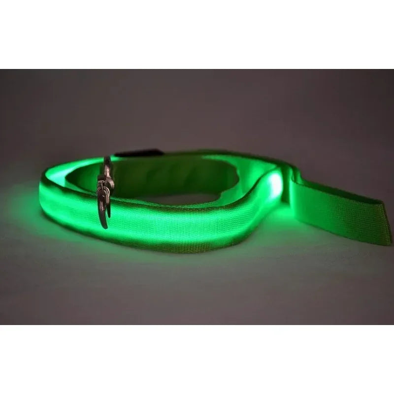 LED Light Up Dog Leash With Flashing Luminous Safety