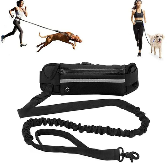 Hands Free Reflective Dog Leash With Waist Bag Retractable Belt