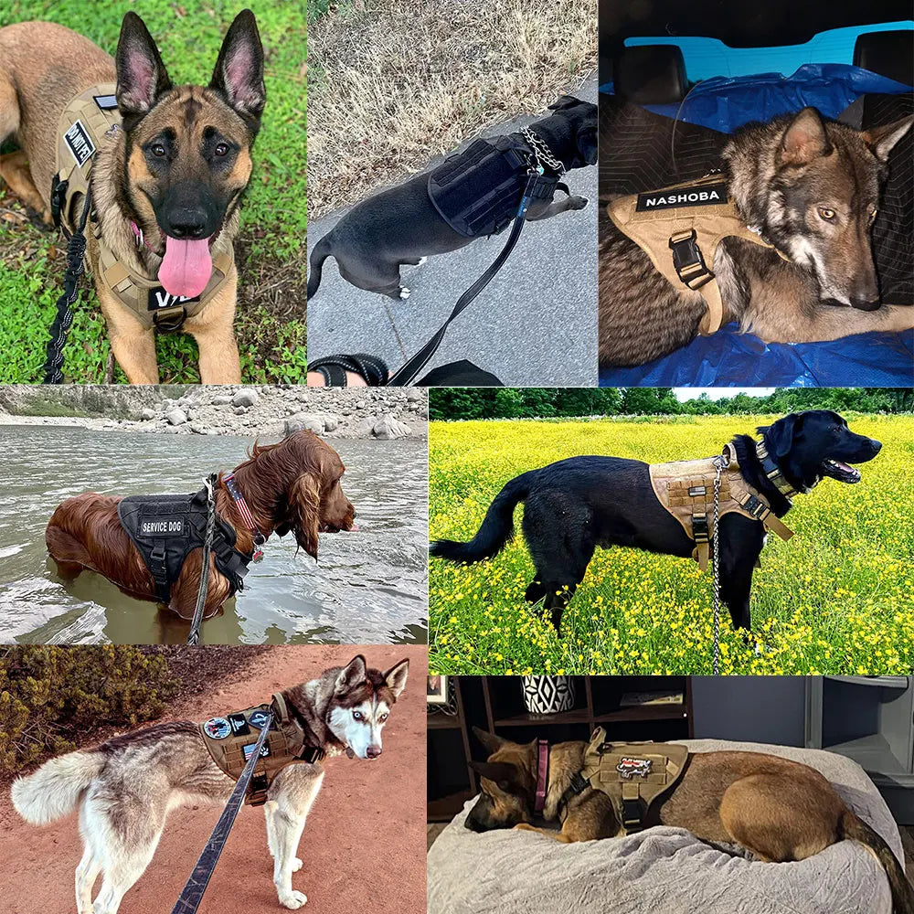 Petravel Military Dog Harness Vest Set For Malinois