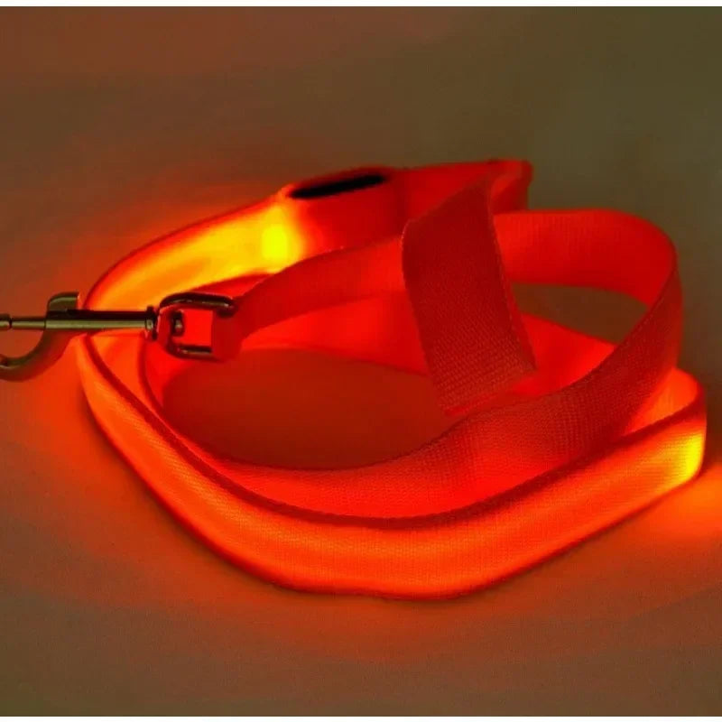 LED Light Up Dog Leash With Flashing Luminous Safety