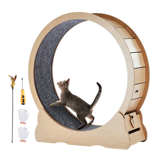 Wooden Cat Exercise Wheel For Indoor Cats Detachable Carpet Teaser