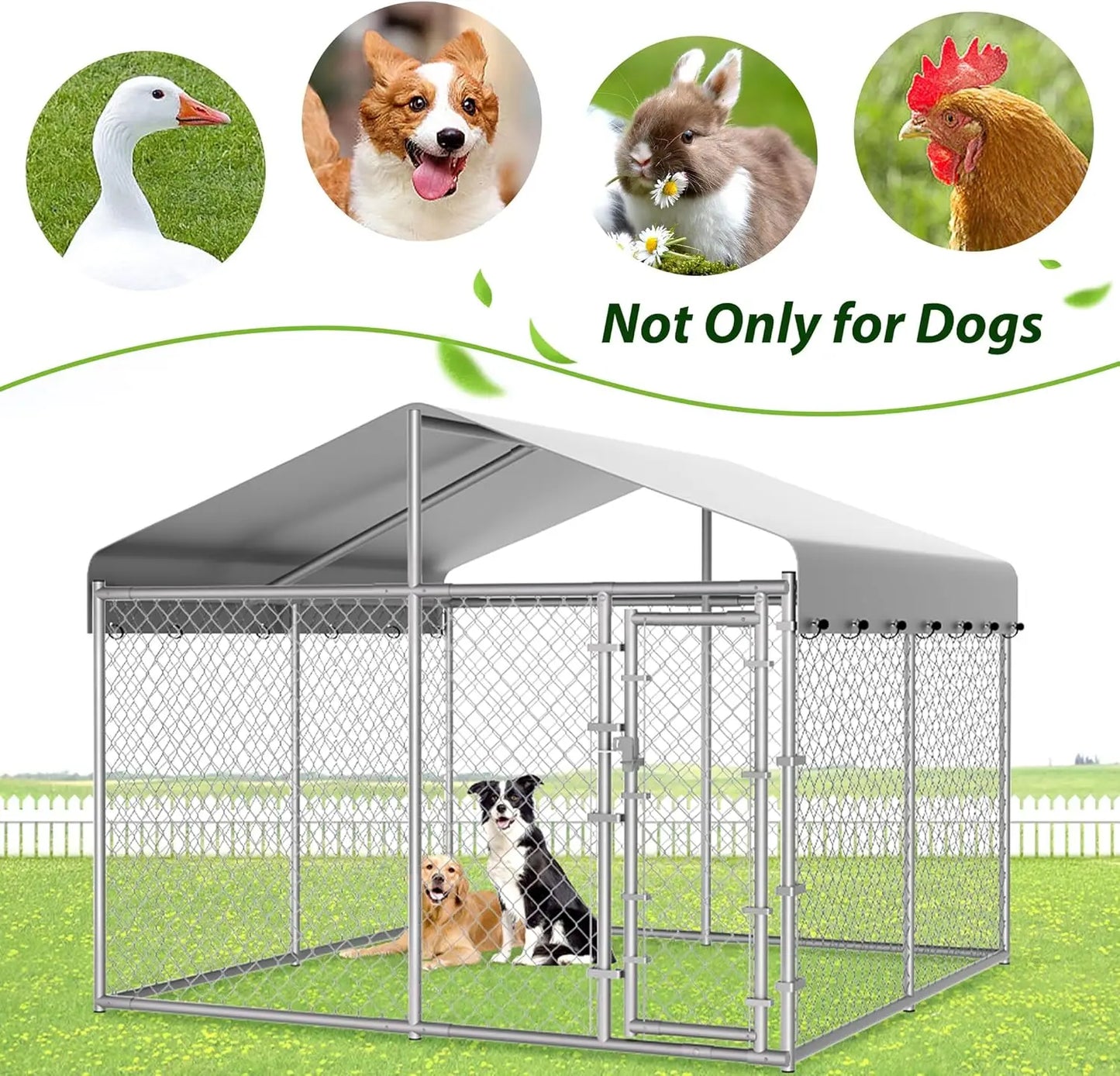 Outdoor Dog Kennel With Roof And Galvanized Chain Link Enclosure Lock