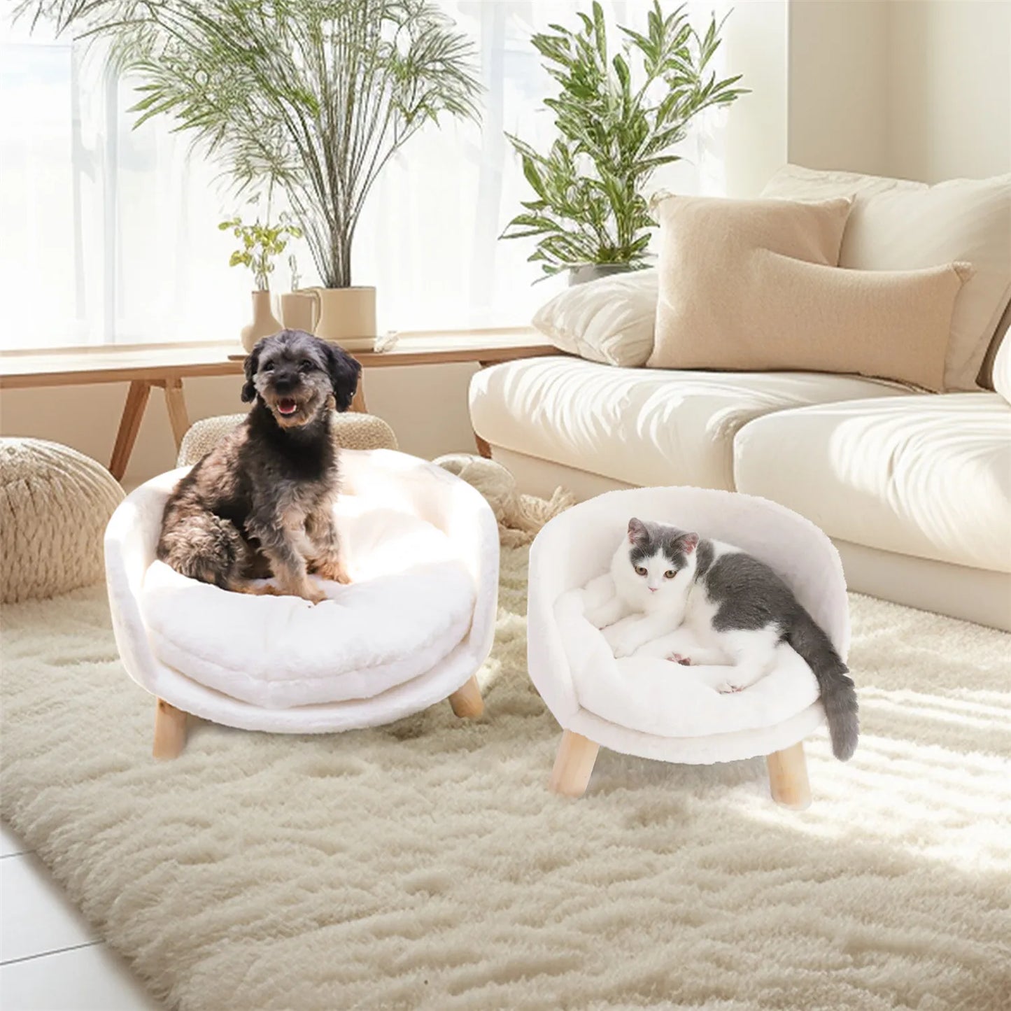 BINGOPAWCN Pet Sofa Bed Raised Cat Chair and Dog Couch