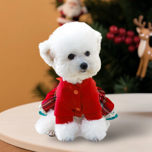 NONECN Christmas Dog Costume Santa Hat Jingle Bell Collar