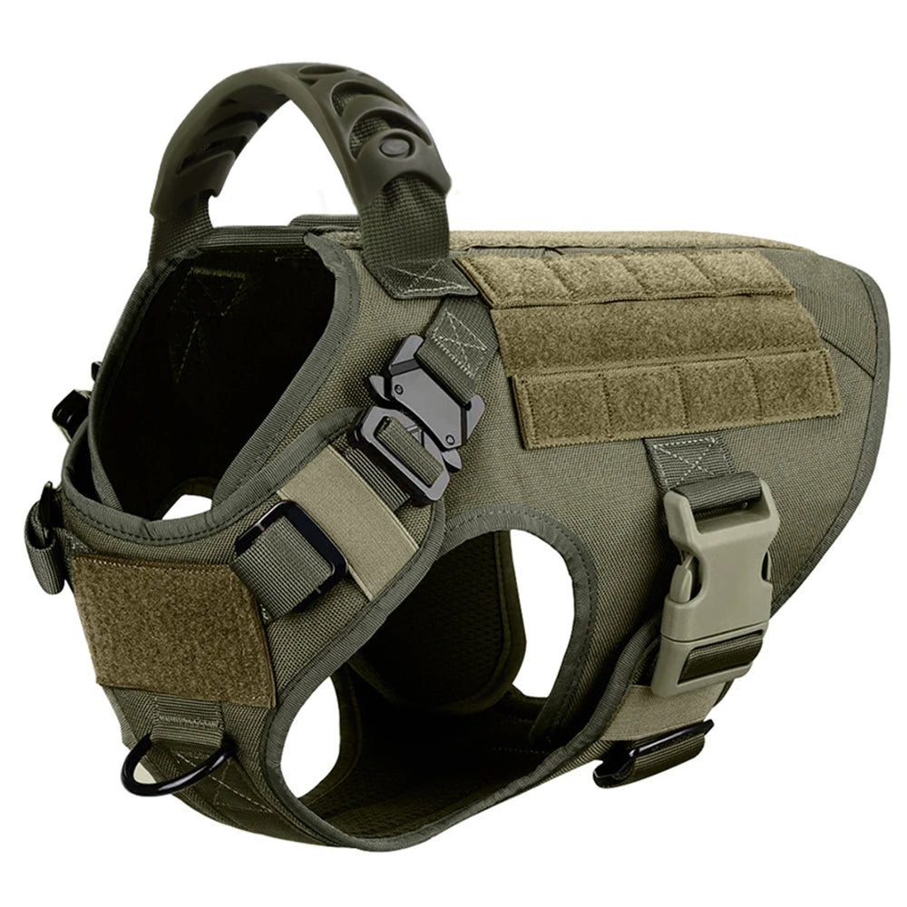 Petravel CN Dog Harness And Leash Set With Padded Vest