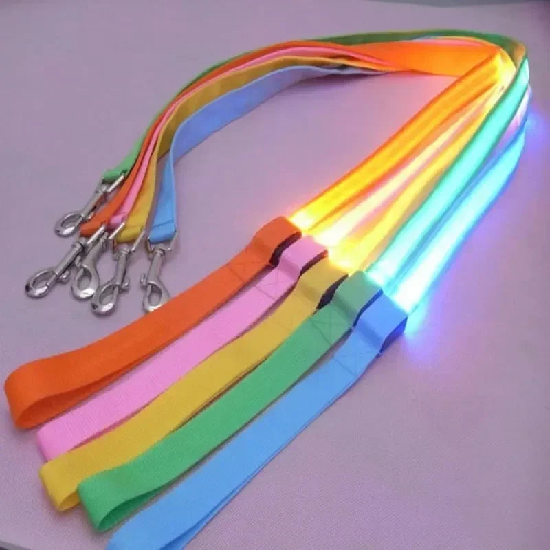 LED Light Up Dog Leash With Flashing Luminous Safety