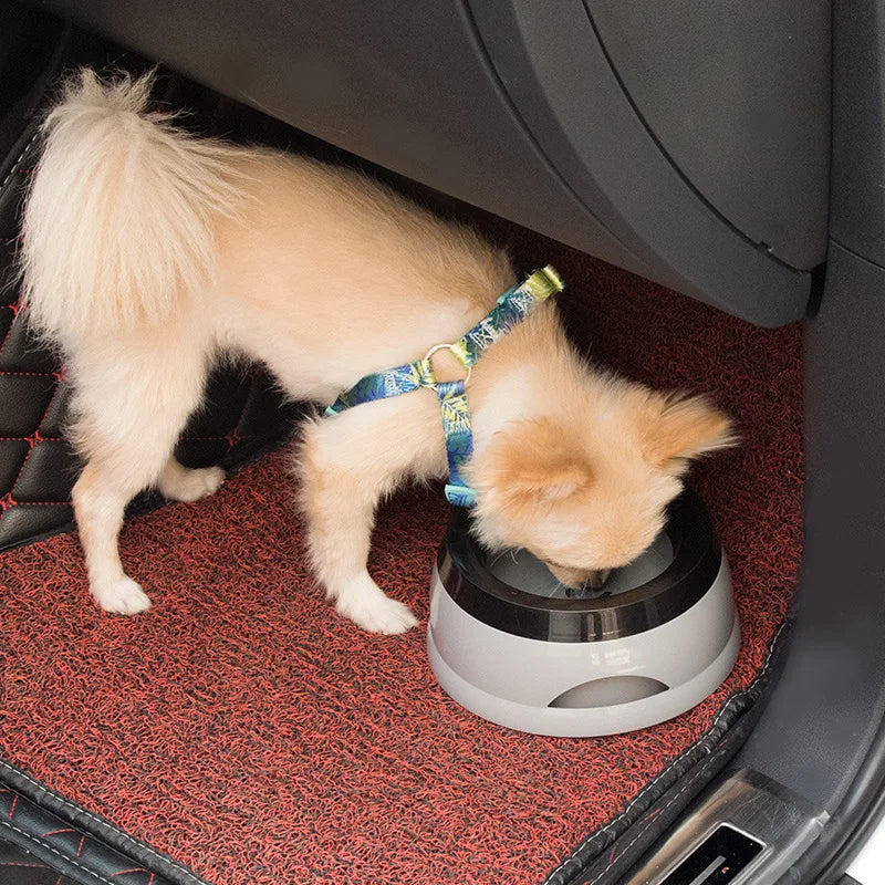 Floating Water Feeder Bowls No Spill Pet Bowls Dogs Cats